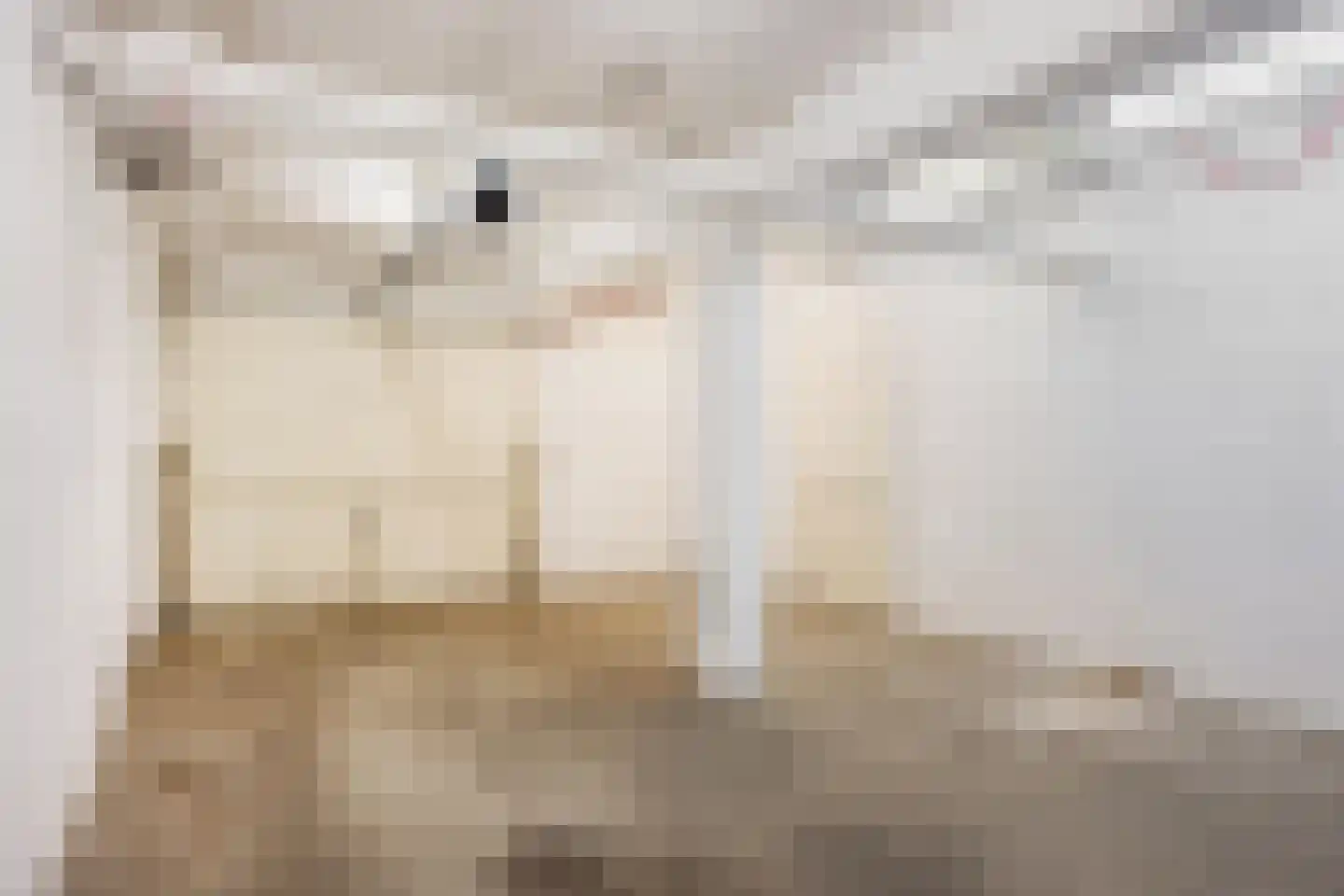 Adelbert van Scharnlaan E 3 Maastricht thumbnail 25
