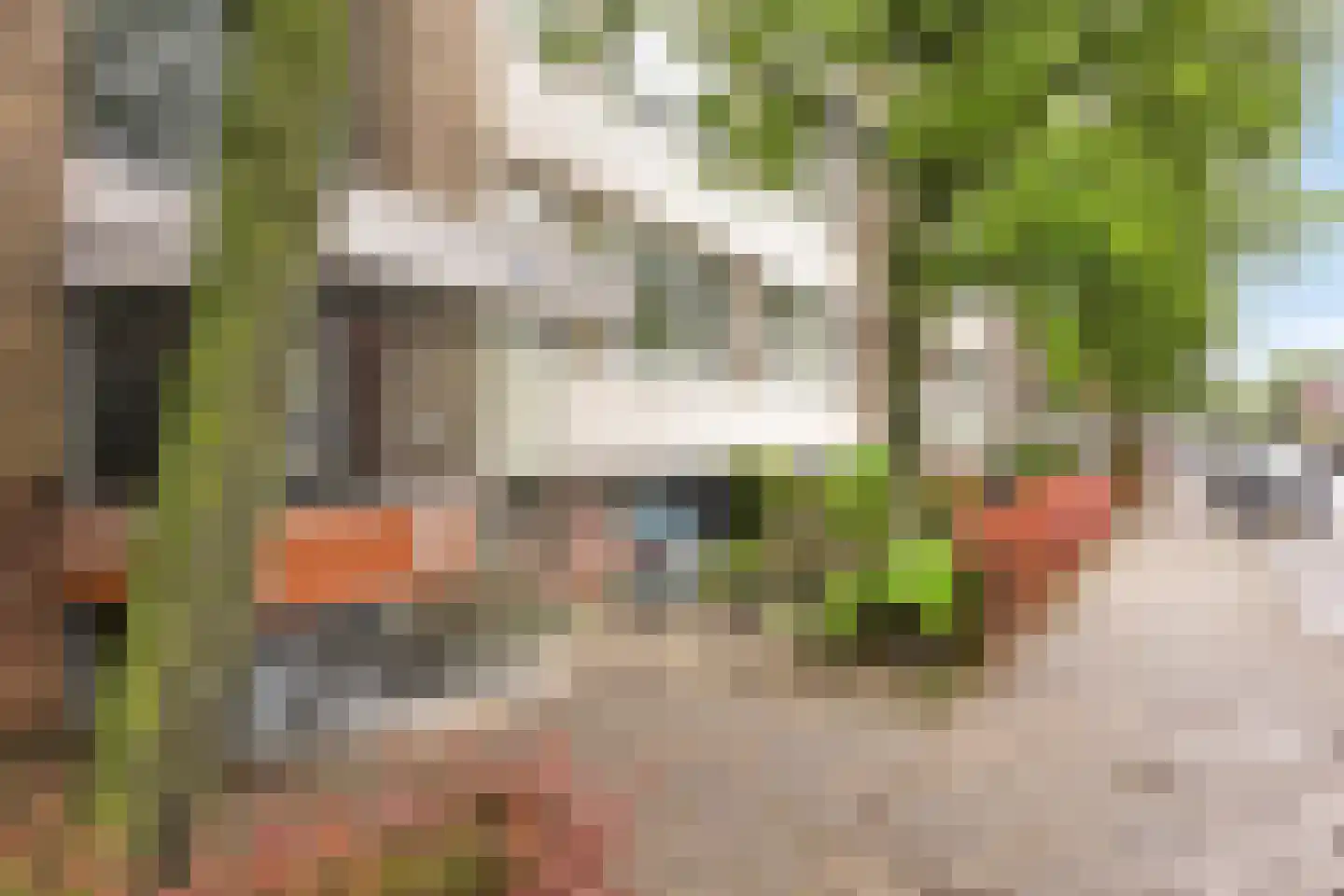 Adelbert van Scharnlaan E 3 Maastricht thumbnail 4