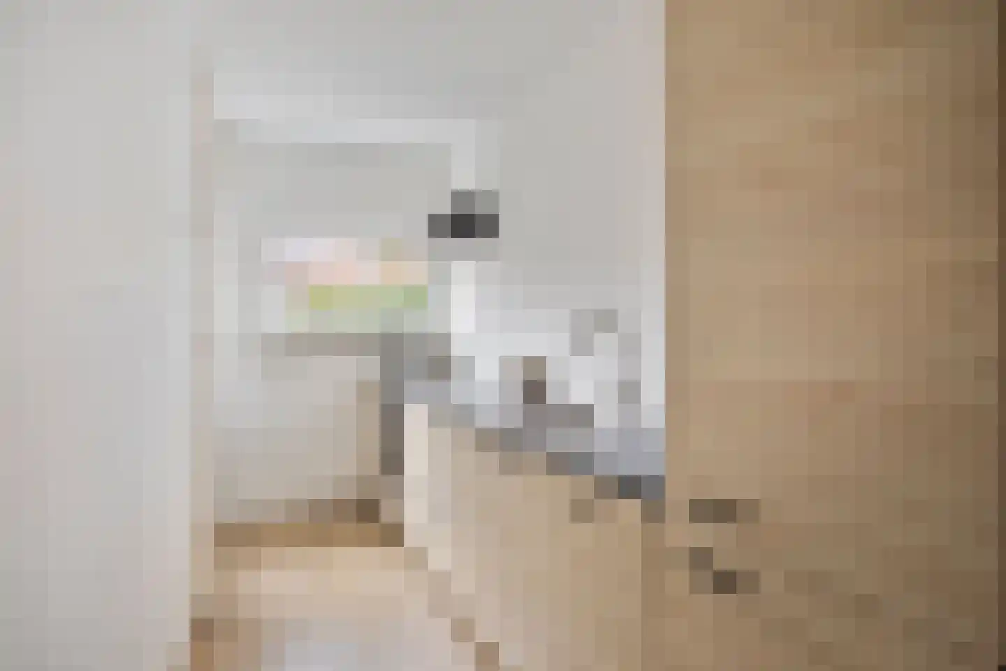 Adelbert van Scharnlaan E 37 Maastricht thumbnail 12