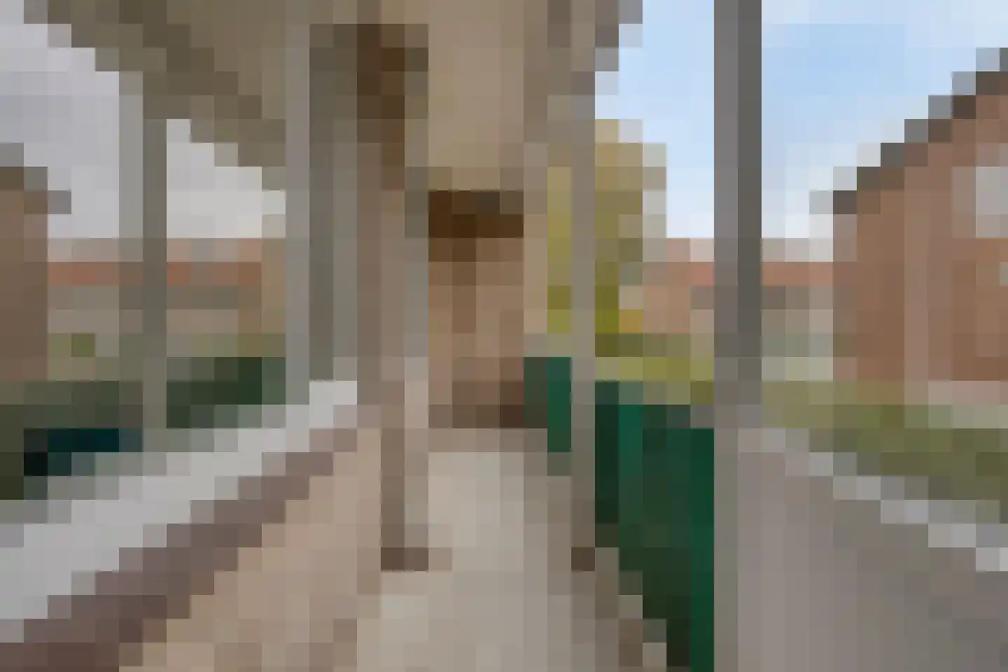 Adelbert van Scharnlaan E 37 Maastricht thumbnail 21