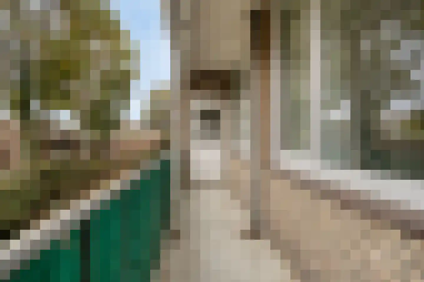 Adelbert van Scharnlaan E 37 Maastricht thumbnail 22