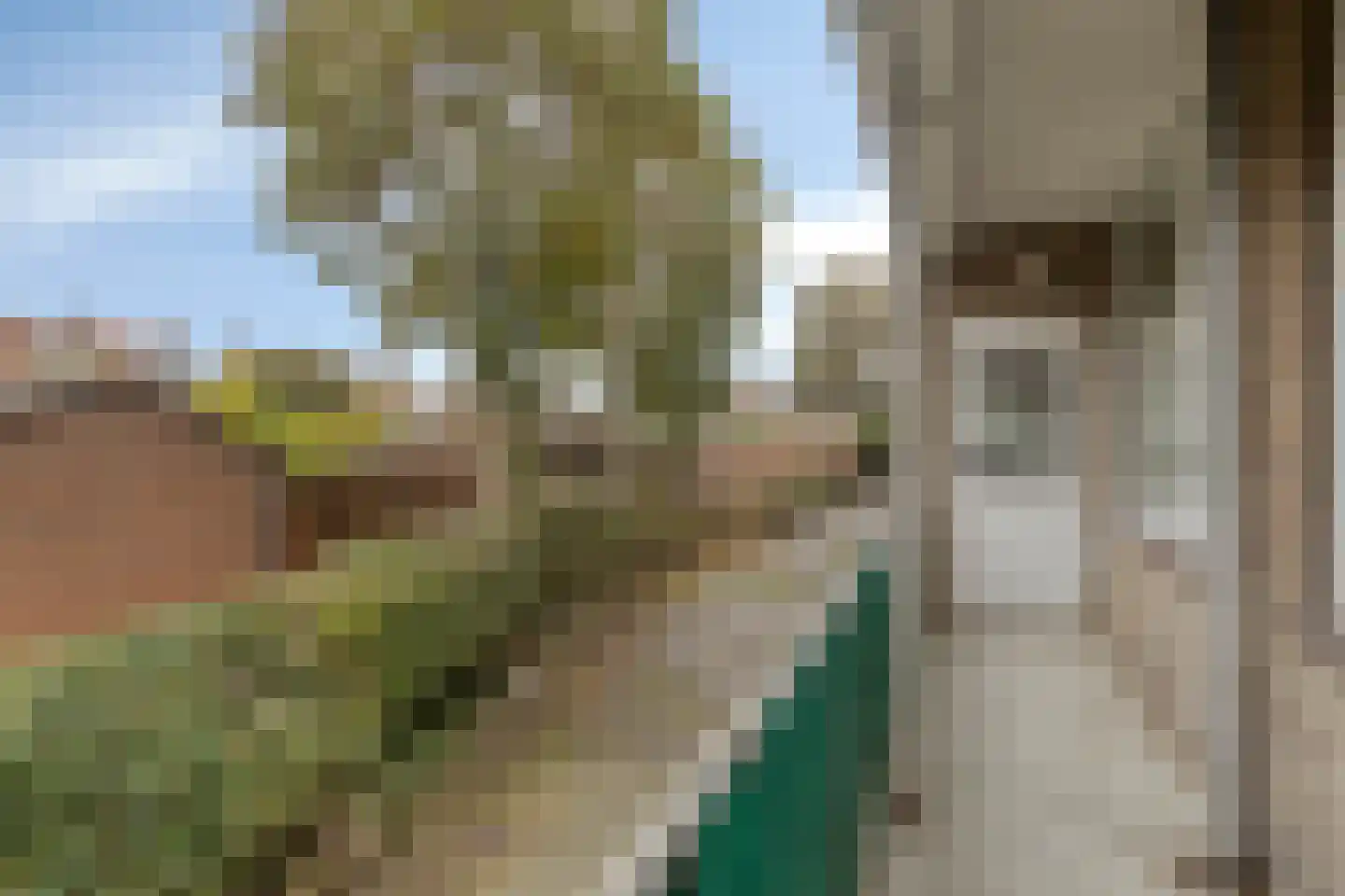 Adelbert van Scharnlaan E 37 Maastricht thumbnail 23