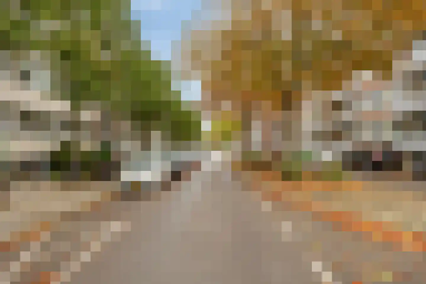 Adelbert van Scharnlaan E 37 Maastricht thumbnail 24