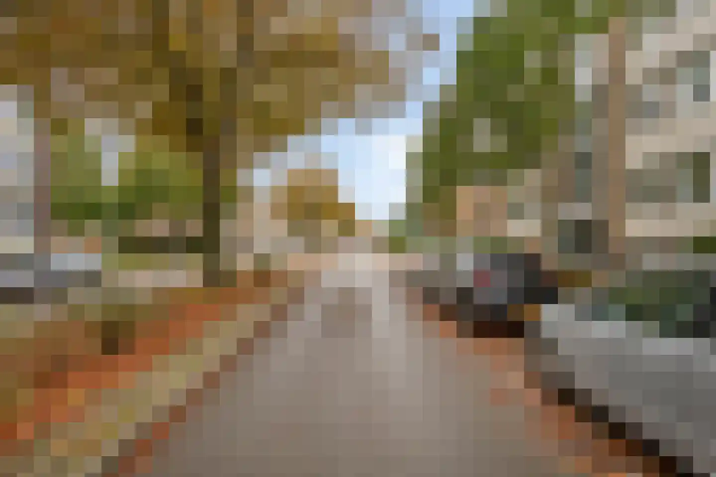 Adelbert van Scharnlaan E 37 Maastricht thumbnail 25