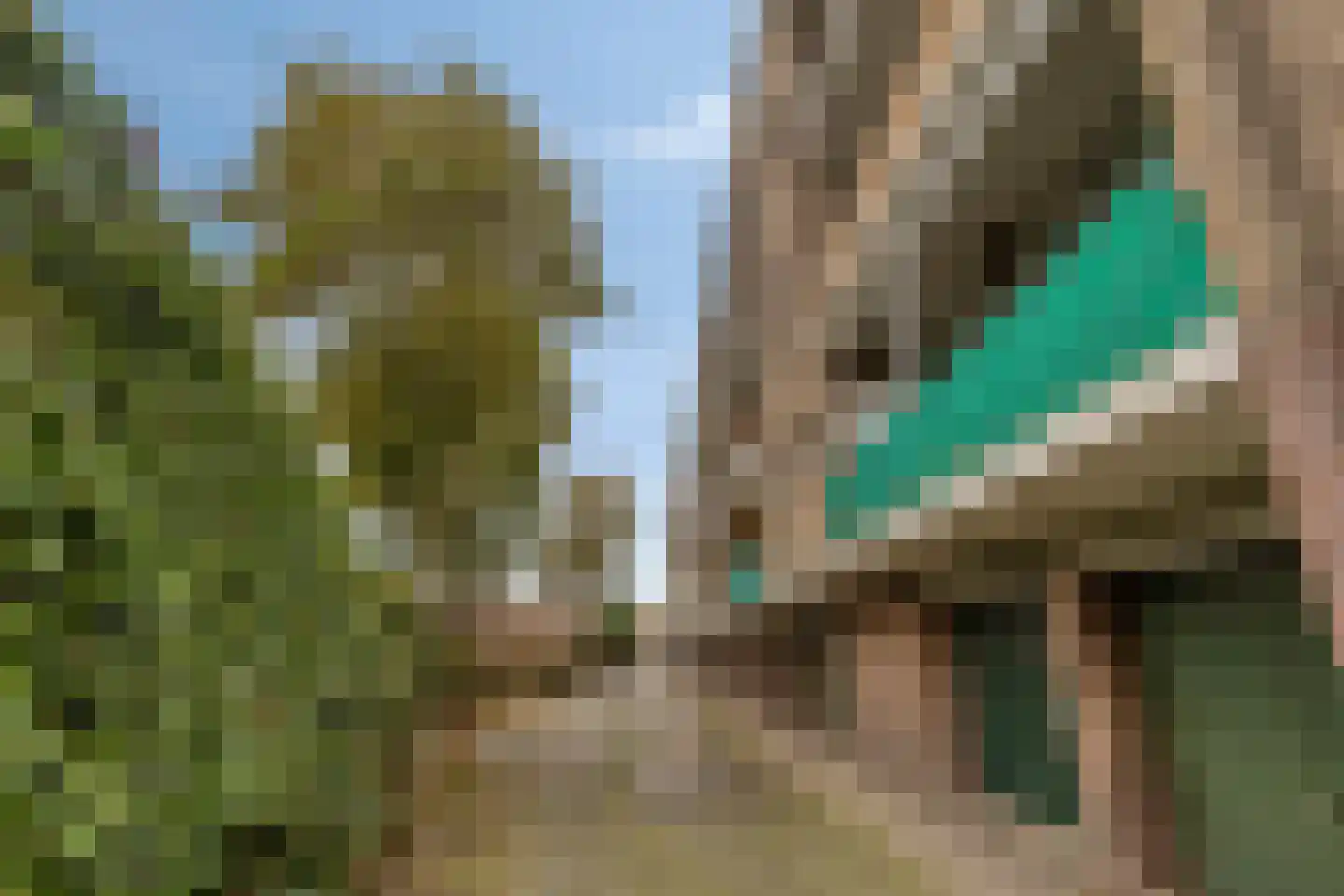 Adelbert van Scharnlaan E 37 Maastricht thumbnail 28
