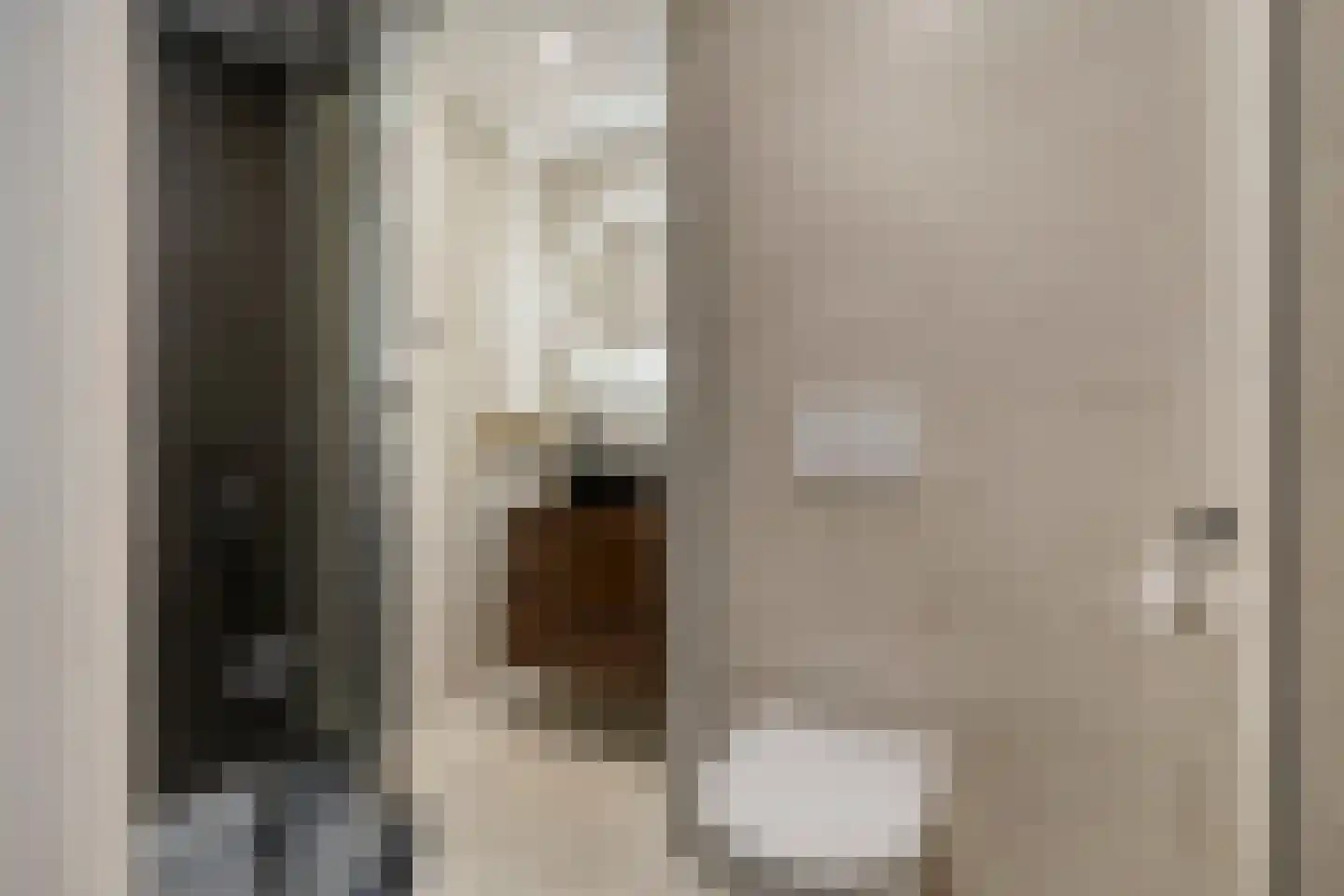 Adelbert van Scharnlaan E 37 Maastricht thumbnail 4