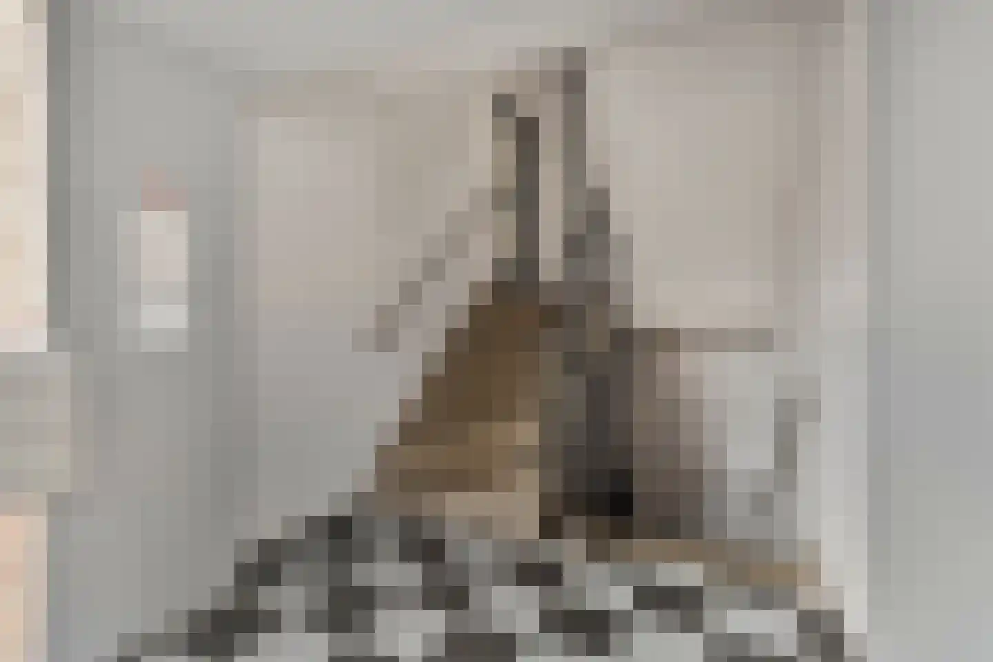 Adelbert van Scharnlaan E 37 Maastricht thumbnail 5