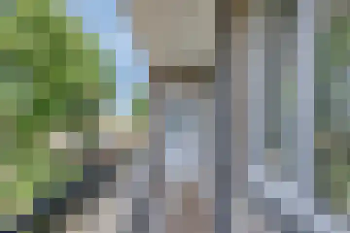 Adelbert van Scharnlaan E 38 Maastricht thumbnail 10