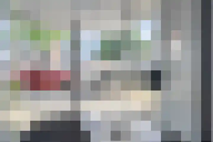 Adelbert van Scharnlaan E 38 Maastricht thumbnail 17