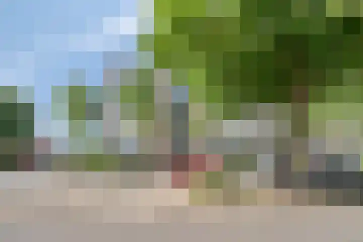 Adelbert van Scharnlaan E 38 Maastricht thumbnail 21