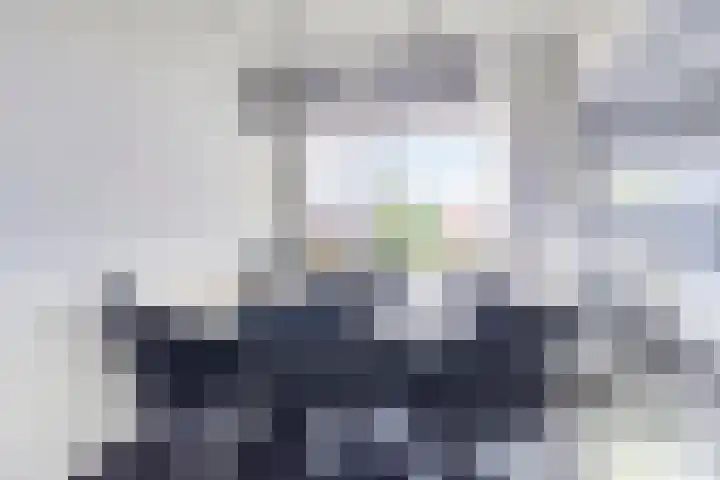 Adelbert van Scharnlaan E 38 Maastricht thumbnail 5