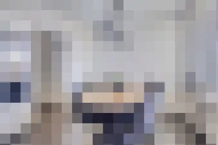 Adelbert van Scharnlaan E 38 Maastricht thumbnail 6