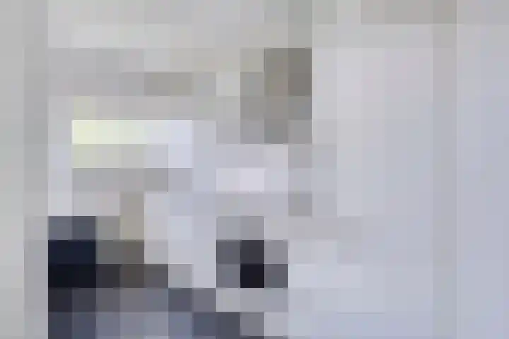 Adelbert van Scharnlaan E 38 Maastricht thumbnail 7