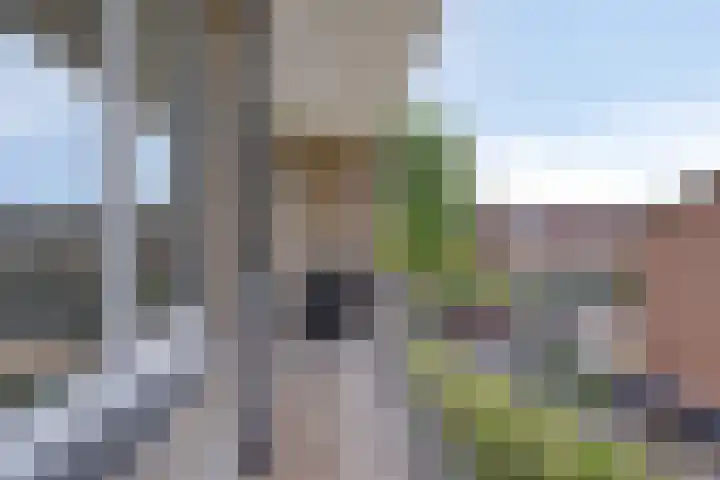 Adelbert van Scharnlaan E 38 Maastricht thumbnail 9