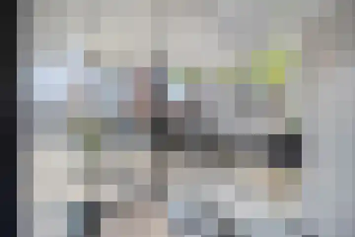 Adelbert van Scharnlaan E 4 Maastricht thumbnail 15