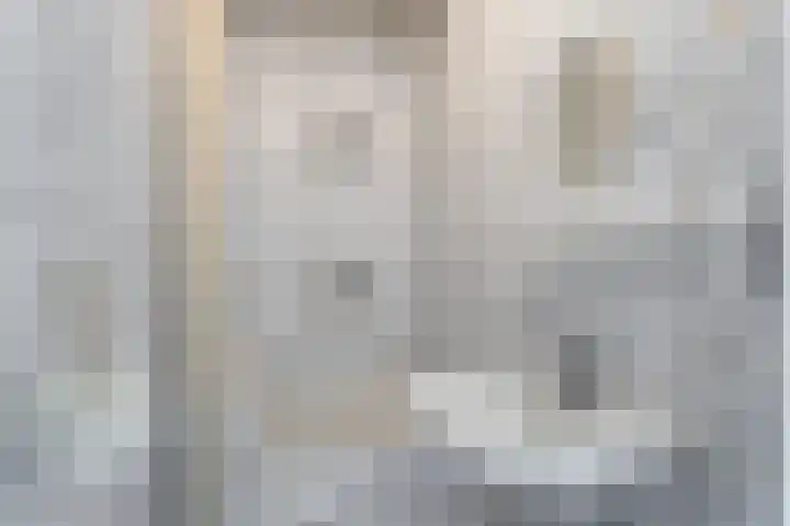Adelbert van Scharnlaan E 5 Maastricht thumbnail 15