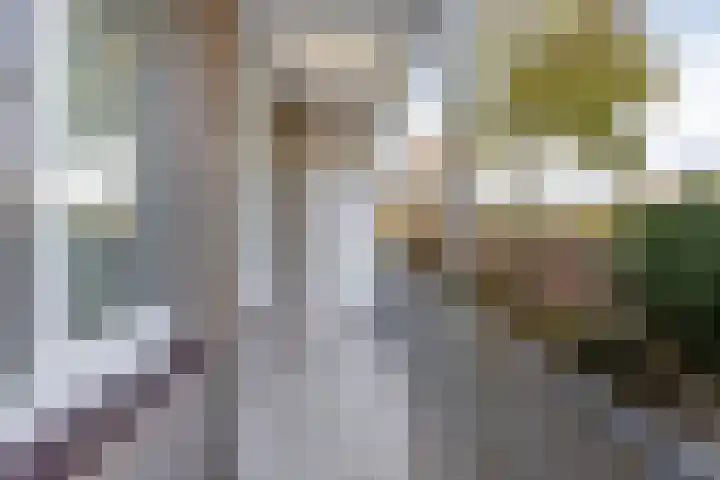 Adelbert van Scharnlaan E 5 Maastricht thumbnail 20