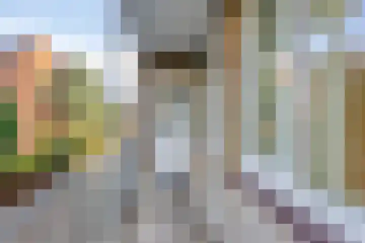 Adelbert van Scharnlaan E 5 Maastricht thumbnail 21