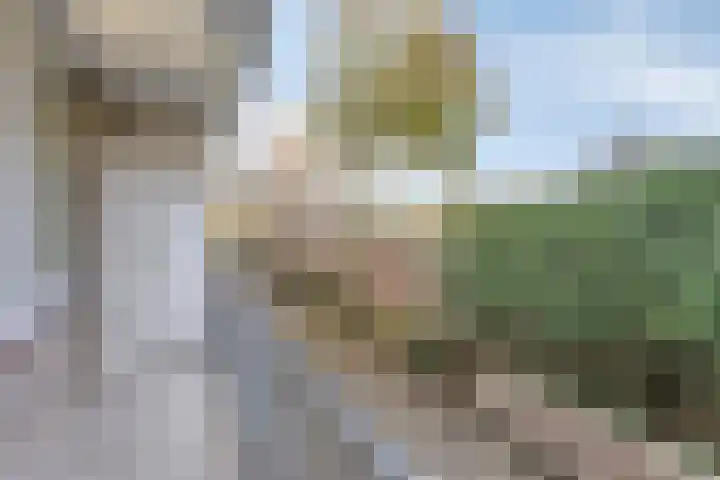 Adelbert van Scharnlaan E 5 Maastricht thumbnail 22
