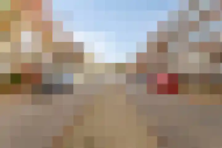 Adelbert van Scharnlaan E 5 Maastricht thumbnail 24