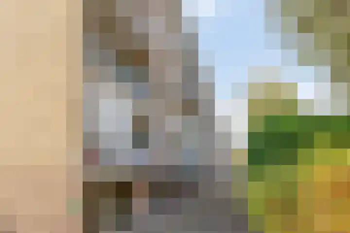 Adelbert van Scharnlaan E 5 Maastricht thumbnail 25
