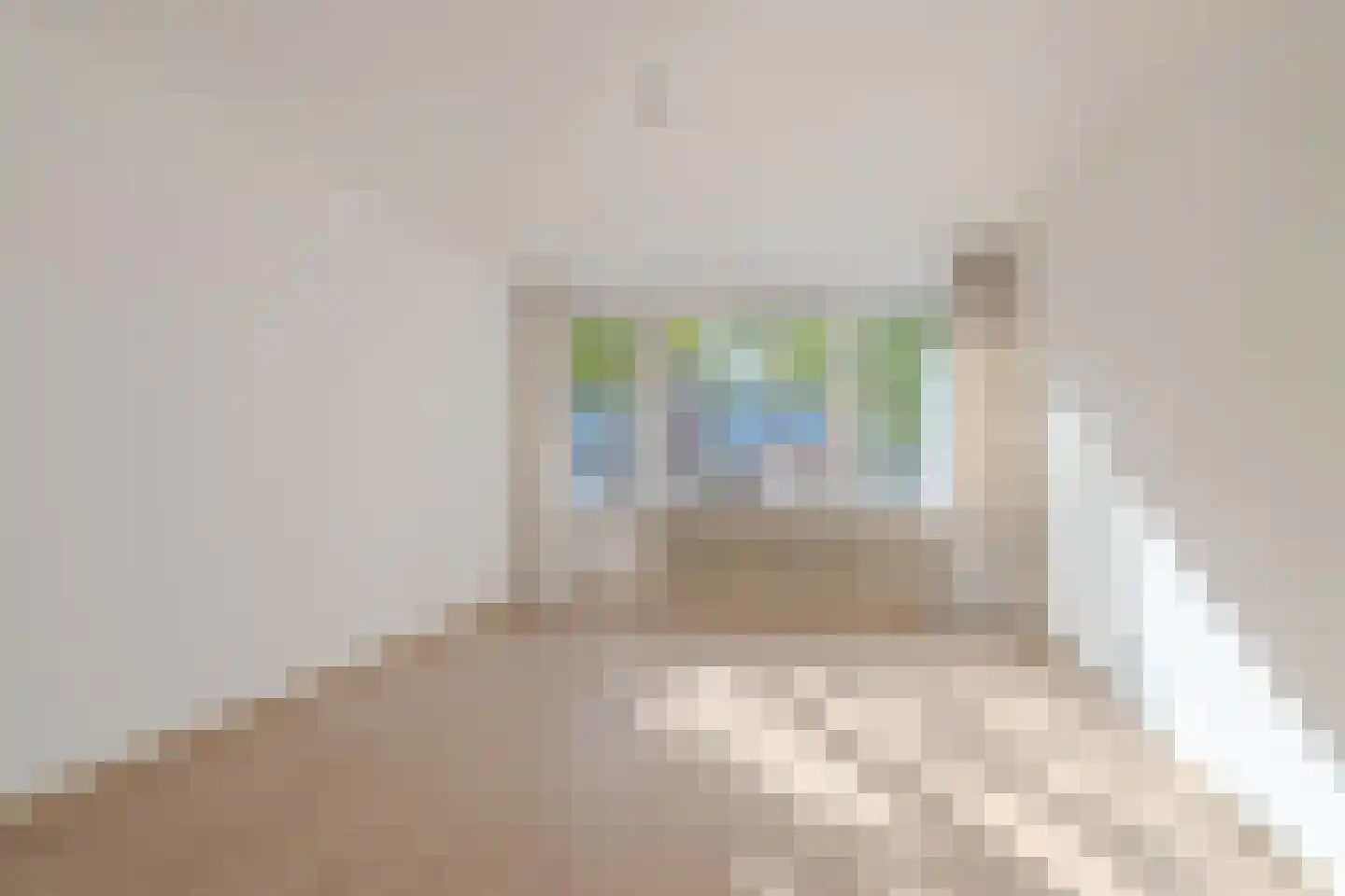 Adelbert van Scharnlaan E 9 Maastricht thumbnail 11