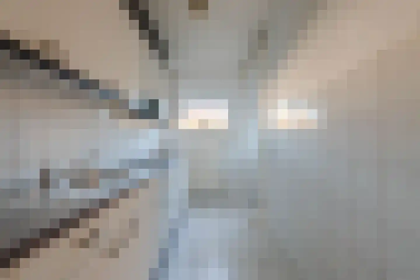 Adelbert van Scharnlaan E 9 Maastricht thumbnail 14