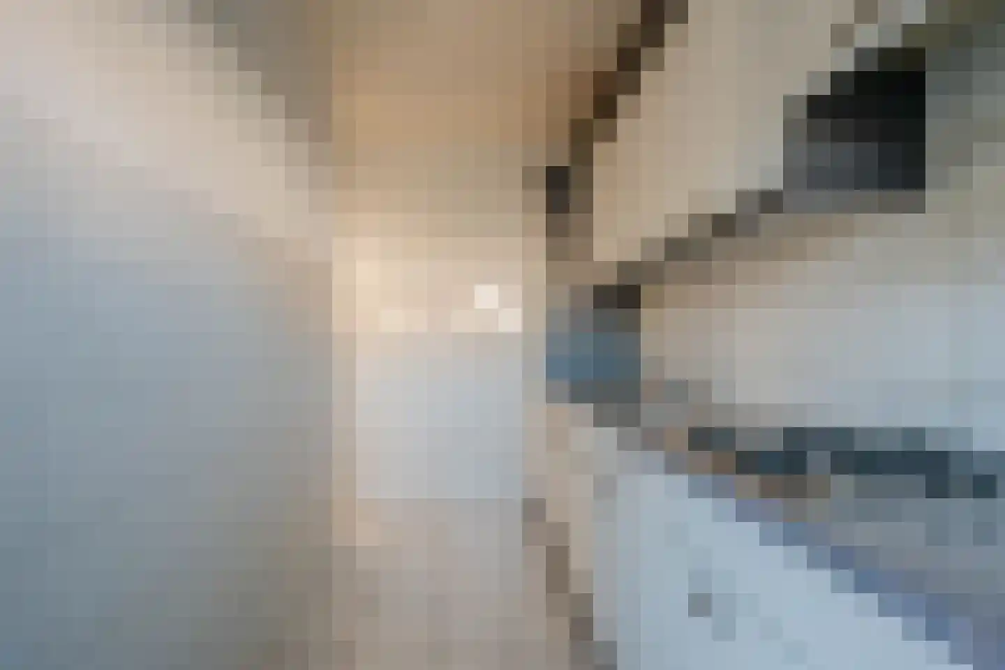Adelbert van Scharnlaan E 9 Maastricht thumbnail 15