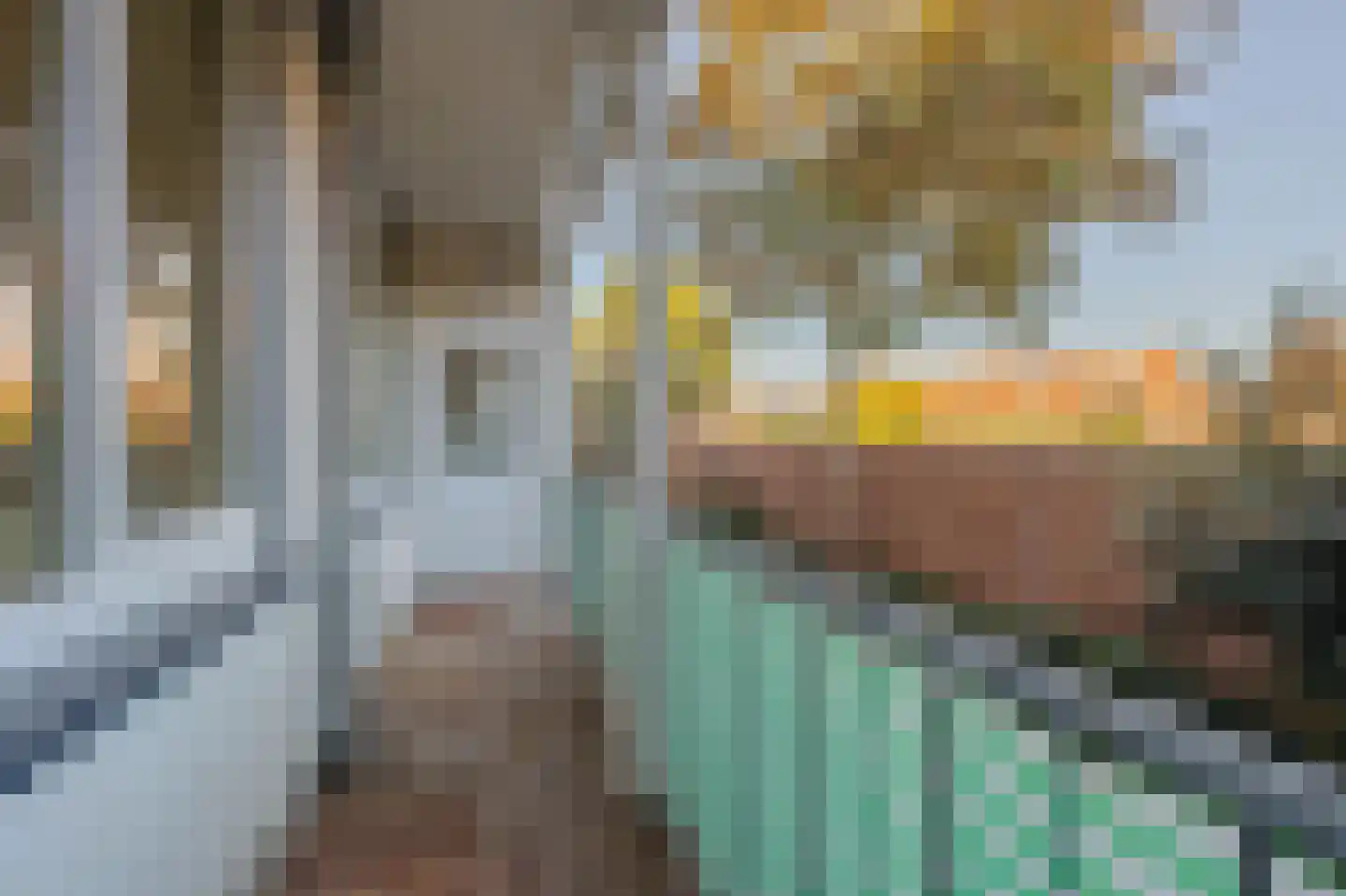 Adelbert van Scharnlaan E 9 Maastricht thumbnail 17