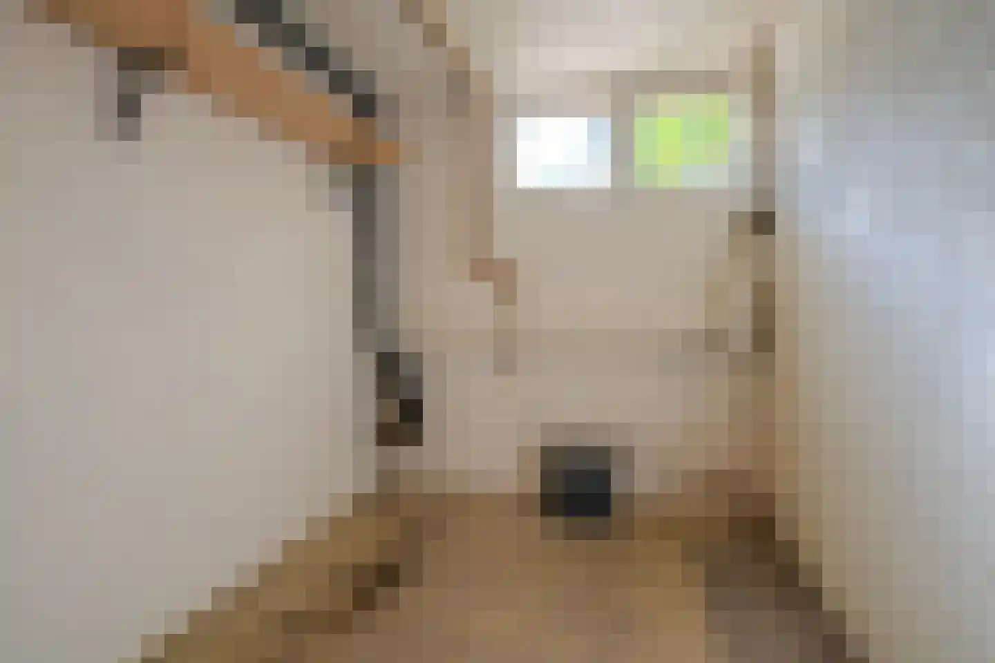 Adelbert van Scharnlaan E 9 Maastricht thumbnail 25