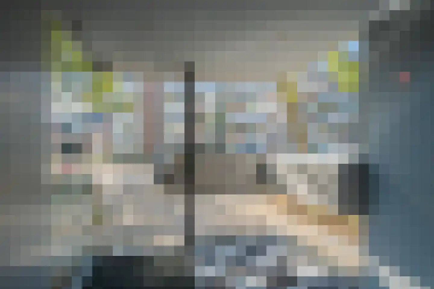 Adelbert van Scharnlaan E 9 Maastricht thumbnail 8