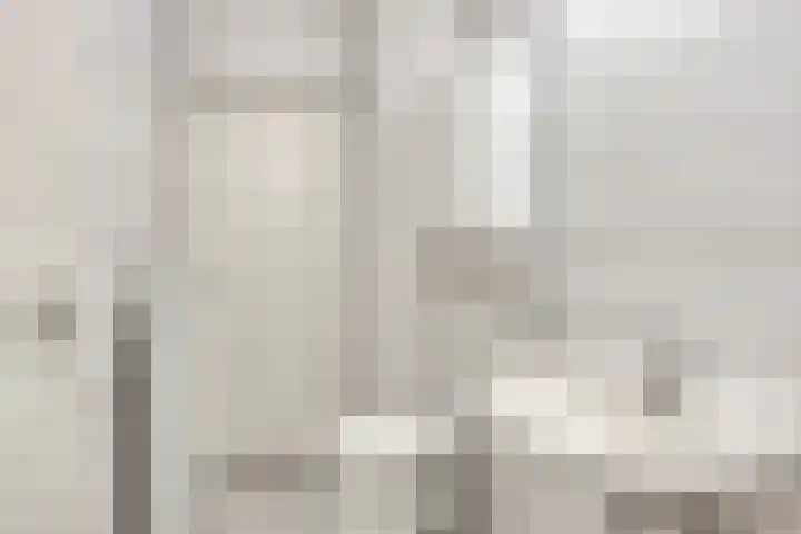 Adelbert van Scharnlaan F 13 Maastricht thumbnail 14