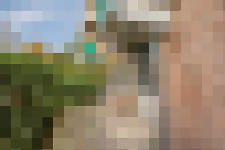 Adelbert van Scharnlaan F 13 Maastricht thumbnail 15