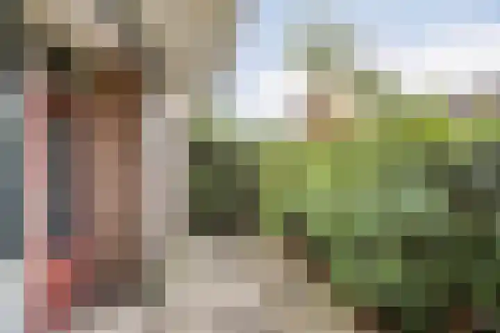 Adelbert van Scharnlaan F 13 Maastricht thumbnail 16