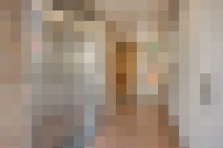 Adelbert van Scharnlaan F 13 Maastricht thumbnail 22