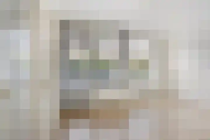 Adelbert van Scharnlaan F 13 Maastricht thumbnail 4