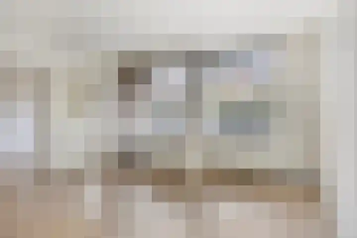 Adelbert van Scharnlaan F 13 Maastricht thumbnail 6