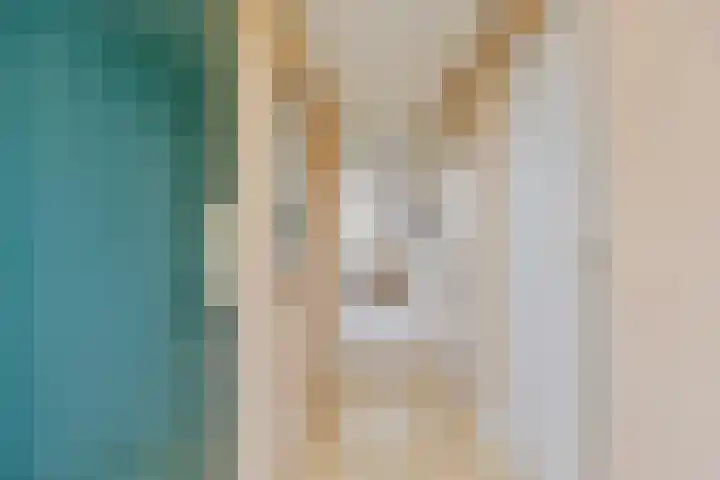Adelbert van Scharnlaan F 54 Maastricht thumbnail 13