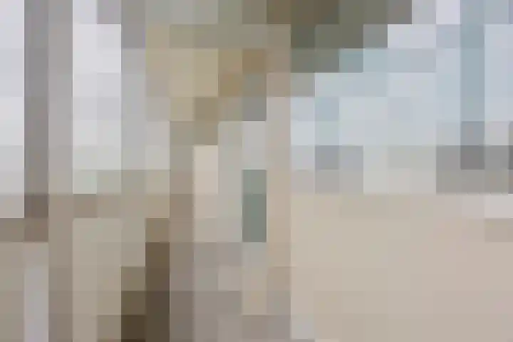 Adelbert van Scharnlaan F 54 Maastricht thumbnail 15