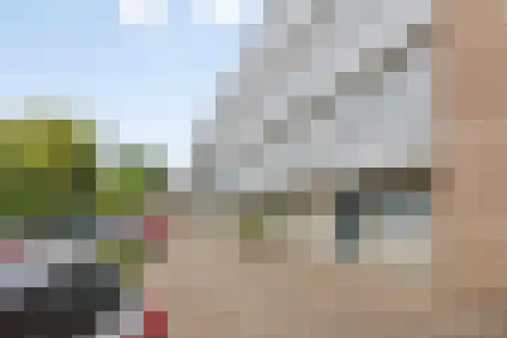 Adelbert van Scharnlaan F 54 Maastricht thumbnail 17
