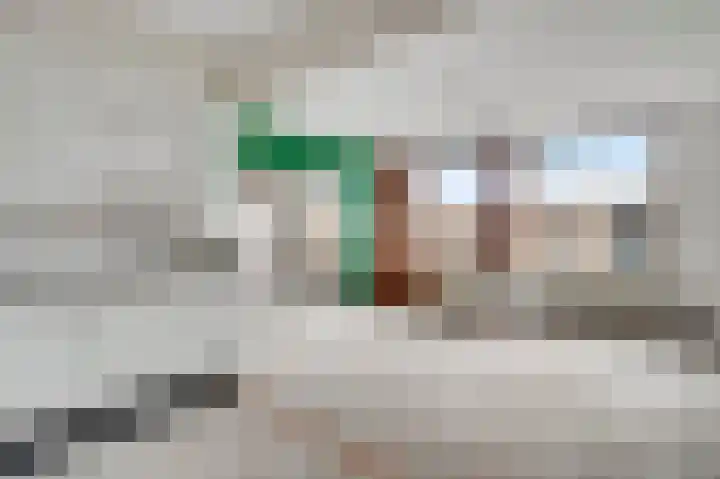 Adelbert van Scharnlaan F 55 Maastricht thumbnail 10