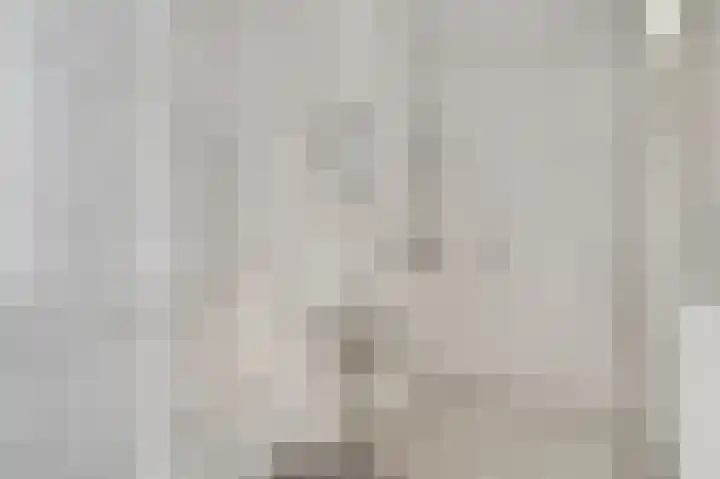 Adelbert van Scharnlaan F 55 Maastricht thumbnail 16