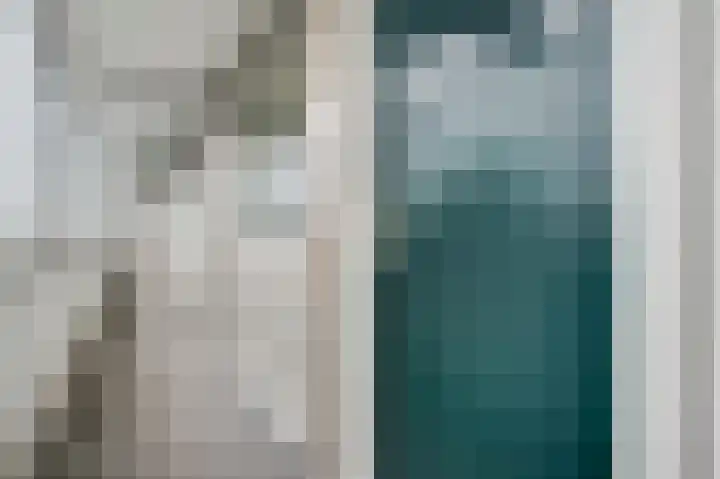 Adelbert van Scharnlaan F 55 Maastricht thumbnail 7