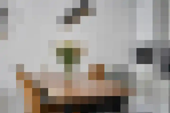 Adelbert van Scharnlaan F 57 Maastricht thumbnail 14