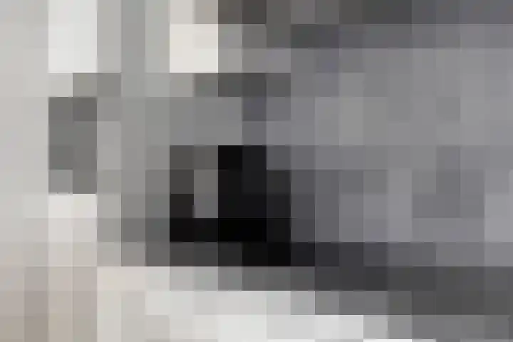 Adelbert van Scharnlaan F 57 Maastricht thumbnail 15