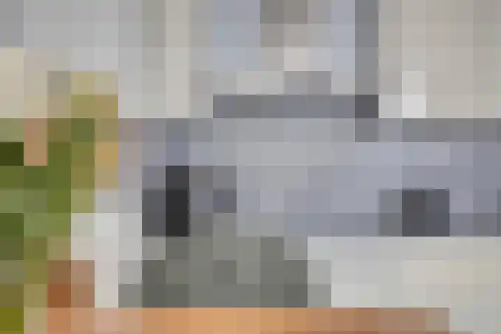 Adelbert van Scharnlaan F 57 Maastricht thumbnail 16