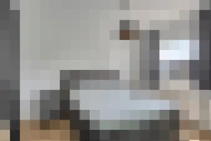 Adelbert van Scharnlaan F 57 Maastricht thumbnail 17