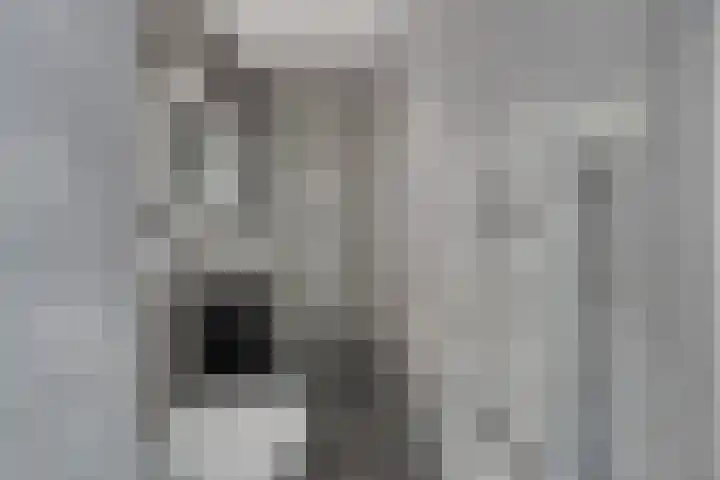 Adelbert van Scharnlaan F 57 Maastricht thumbnail 20