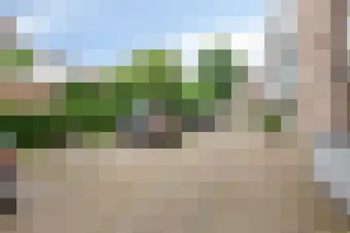 Adelbert van Scharnlaan F 57 Maastricht thumbnail 28