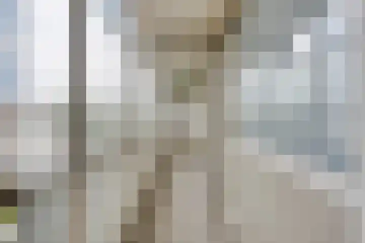 Adelbert van Scharnlaan F 57 Maastricht thumbnail 7